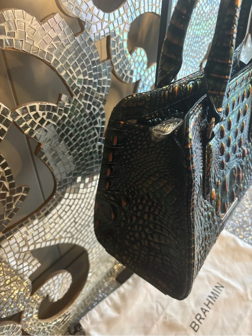 ⭐️Brahmin Cami Samba Melbourne Satchel